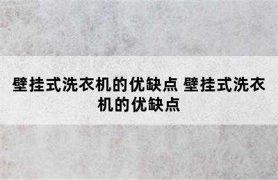 壁挂式洗衣机的优缺点 壁挂式洗衣机的优缺点